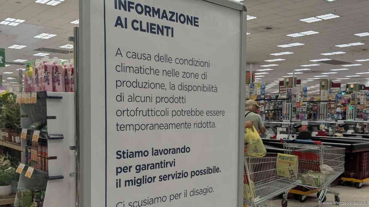 Insalata in busta e ortofrutta scarseggiano sugli scaffali: così caldo e siccità impongono un ritorno ‘forzato’ alla stagionalità