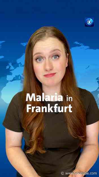 Dritter Malaria-Todesfall in Frankfurt. #tagesschau #nachrichten #malaria #frankfurt