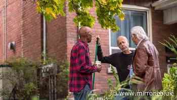 Lawyer explains legal rights on cutting overhanging branches of neighbour's tree in England and Wales