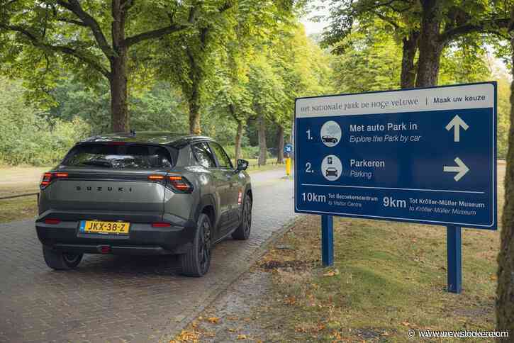 Bizar: waarom je voor je autoverzekering beter een dier kunt aanrijden dan ervoor uitwijken