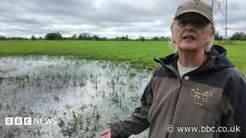 Burst pipe floods wildlife meadow for fourth time