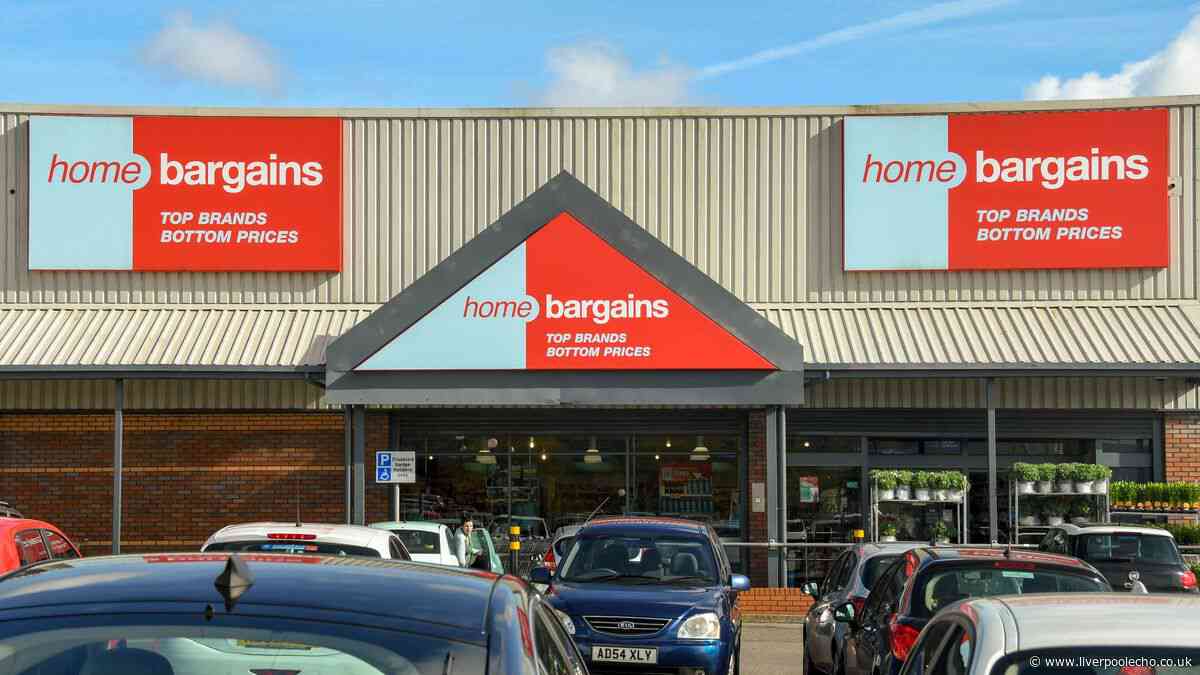 Home Bargains £17 'soft' throw is perfect for 'Christmas season'