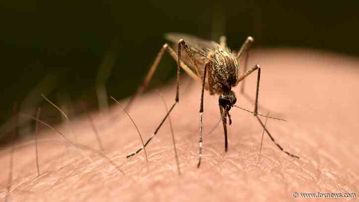 3rd person dies of malaria after mosquito is reportedly trapped on plane to Germany
