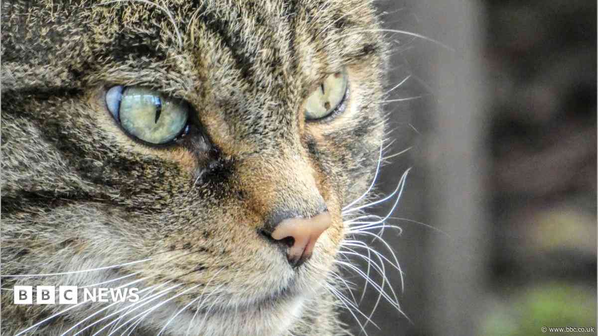 Your pictures of Scotland: 11- 18 September