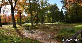 IVN-gidsen nemen wandelaars mee over landgoed de Grote Beek in Eindhoven