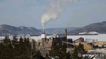 Atholville pulp mill is facing same challenges as Nackawic mill,  AV Group says