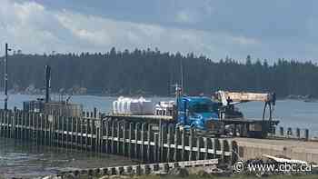 Atlantic salmon farmers push for growth here as imports top $750M