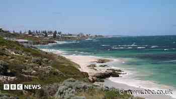 Swimmer killed in shark attack off Australian west coast