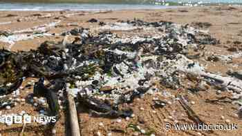 Offenders help clear nurdles after major spill