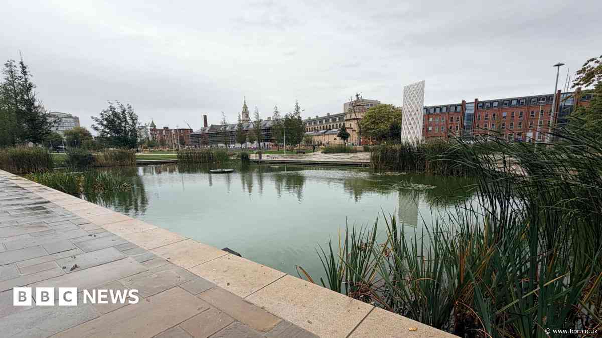 Warning of blue-green algae at city park