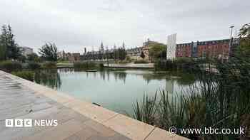 Warning of blue-green algae at city park