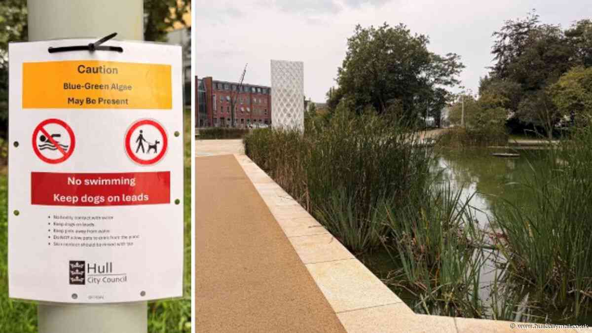 ‘Avoid contact with water’ warning amid blue-green algae concerns in Queen's Gardens ponds