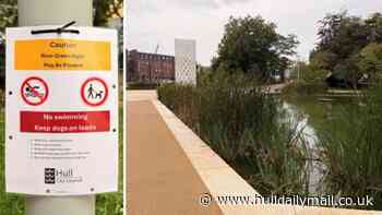 ‘Avoid contact with water’ warning amid blue-green algae concerns in Queen's Gardens ponds