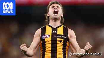 Live: Watson leads Hawks in remarkable fightback as grandstand finish looms in prelim