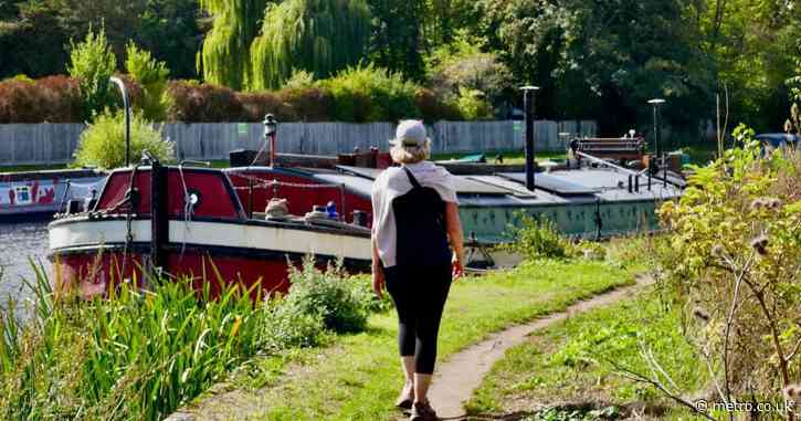 Summer returns next week with temperatures set to reach 26C