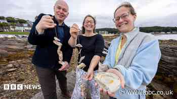 Lost oyster beds rediscovered thanks to Gaelic and Scots language