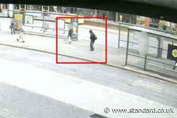 New sighting of missing 13-year-old girl as police inquiry continues