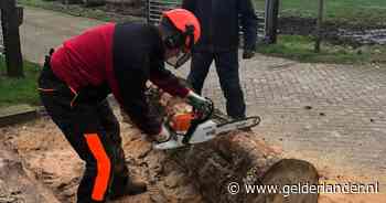 Lions Club de Liemers bezorgt haardhout voor regionale goede doelen