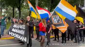 Grimmige sfeer op Malieveld bij demonstratie: meerdere aanhoudingen
