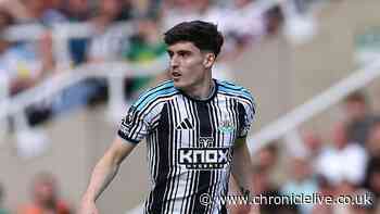 Newcastle United rocked by new injury blow as emergency right-back plan hatched