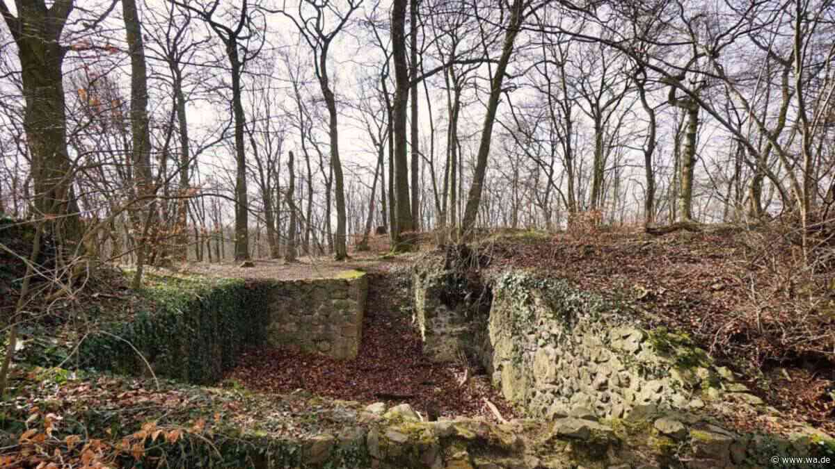 Mystische Ruine im Wald: Frühere Burg aus dem Mittelalter voller Sagen und Legenden