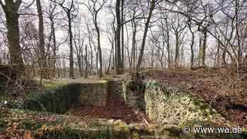 Mystische Ruine im Wald: Frühere Burg aus dem Mittelalter voller Sagen und Legenden