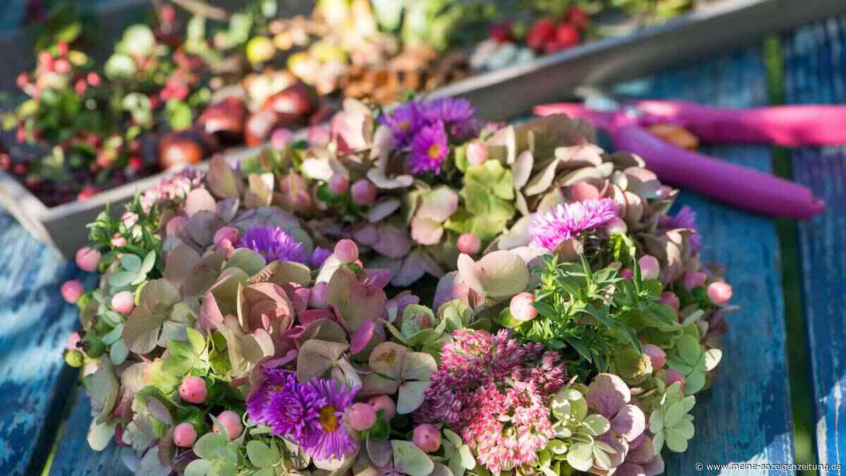 Herbst-Dekoration aus dem eigenen Garten: Kranz mit Hortensien einfach selbst gemacht