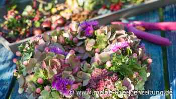 Herbst-Dekoration aus dem eigenen Garten: Kranz mit Hortensien einfach selbst gemacht