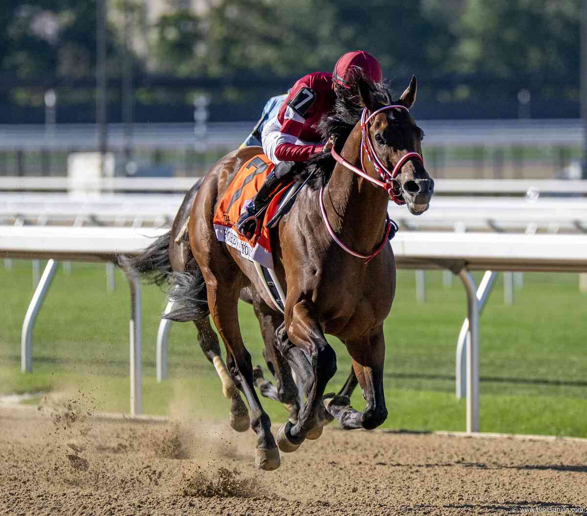 What's next for horse racing superstar Forever Young?