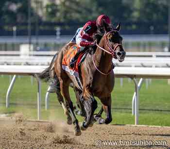 What's next for horse racing superstar Forever Young?