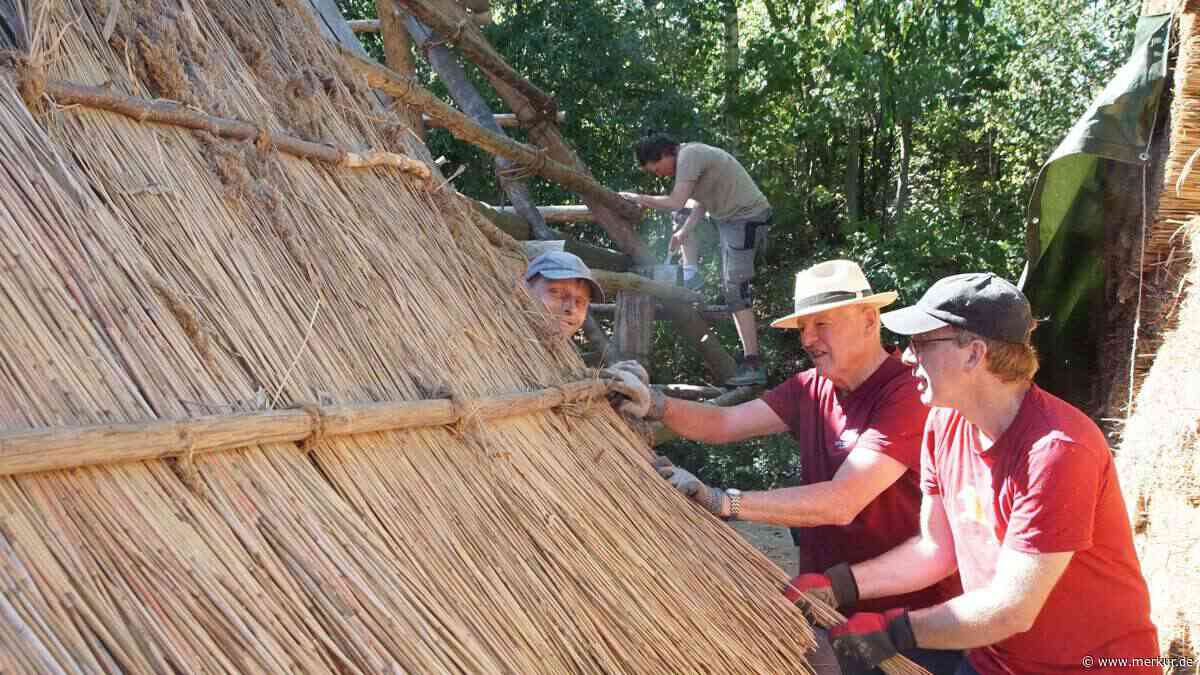 Bajuwarenhof Kirchheim: Freiwillige decken Schilfdach wie im Mittelalter