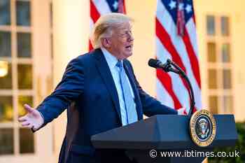Donald Trump's Mystery Suit Bulge Put on Display by 'Most Beautiful' Aide Margo Martin Again
