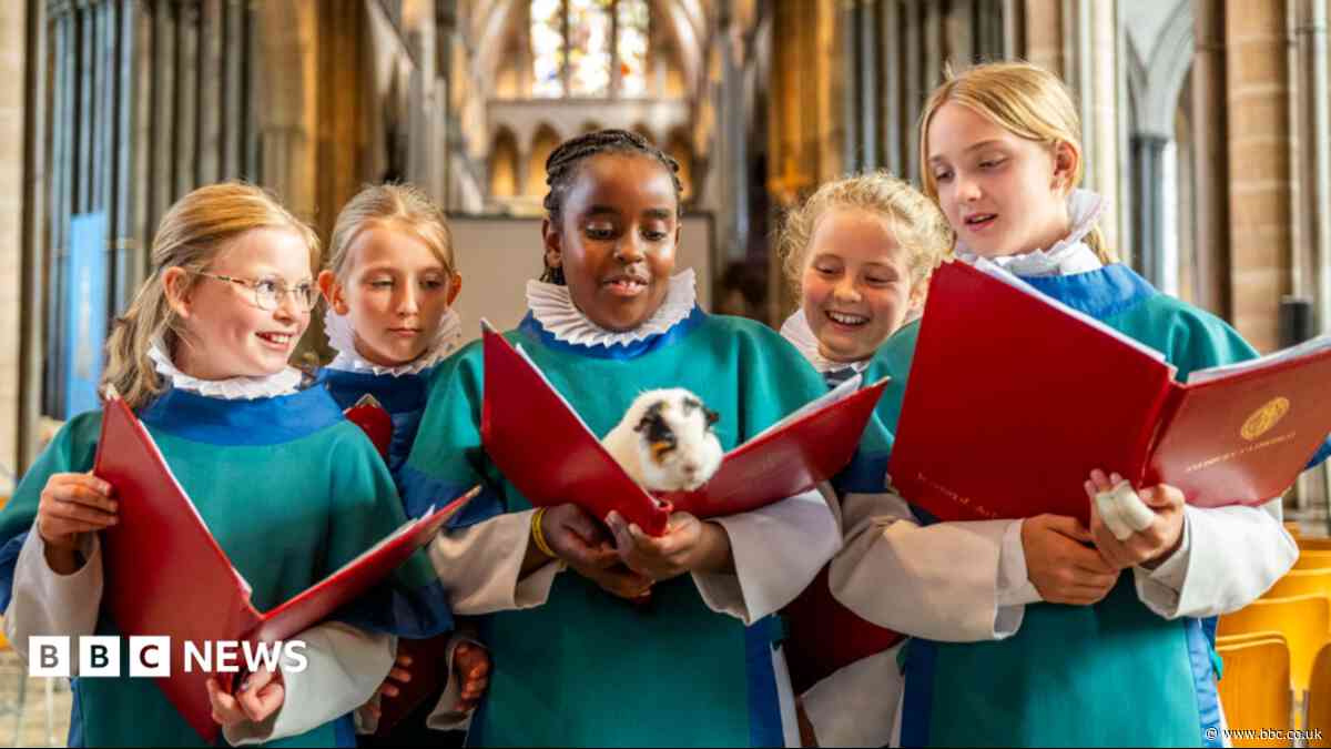 Pets to be blessed at special cathedral service