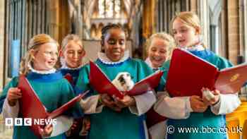 Pets to be blessed at special cathedral service
