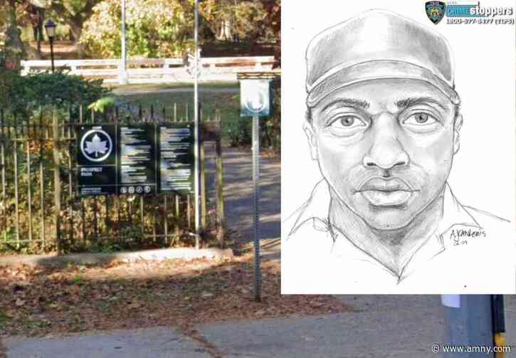 Prospect Park rape attempt: Creep who choked, then assaulted woman, inside Brooklyn park still at large