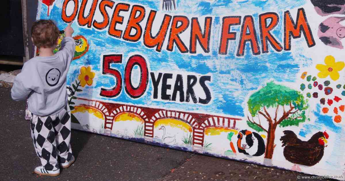 Ouseburn Farm celebrates 50th anniversary with Harvest Festival themed birthday party