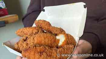 I tried Burger King's new Crispy Chicken Tenders and they're better than fast food rival