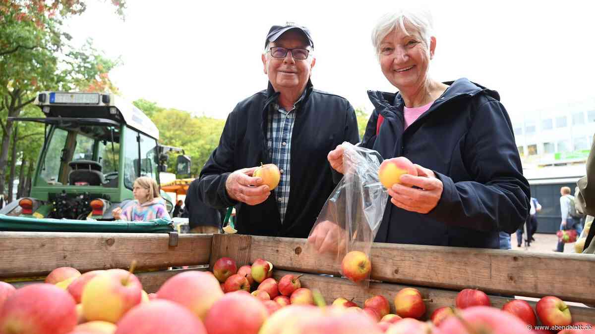 Harburg entdeckt seinen Wochenmarkt neu – Hunderte kommen zum großen Fest