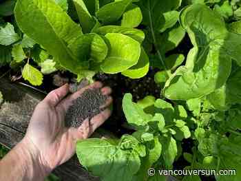 Brian Minter: This time of year your garden soil needs some help. Here's how