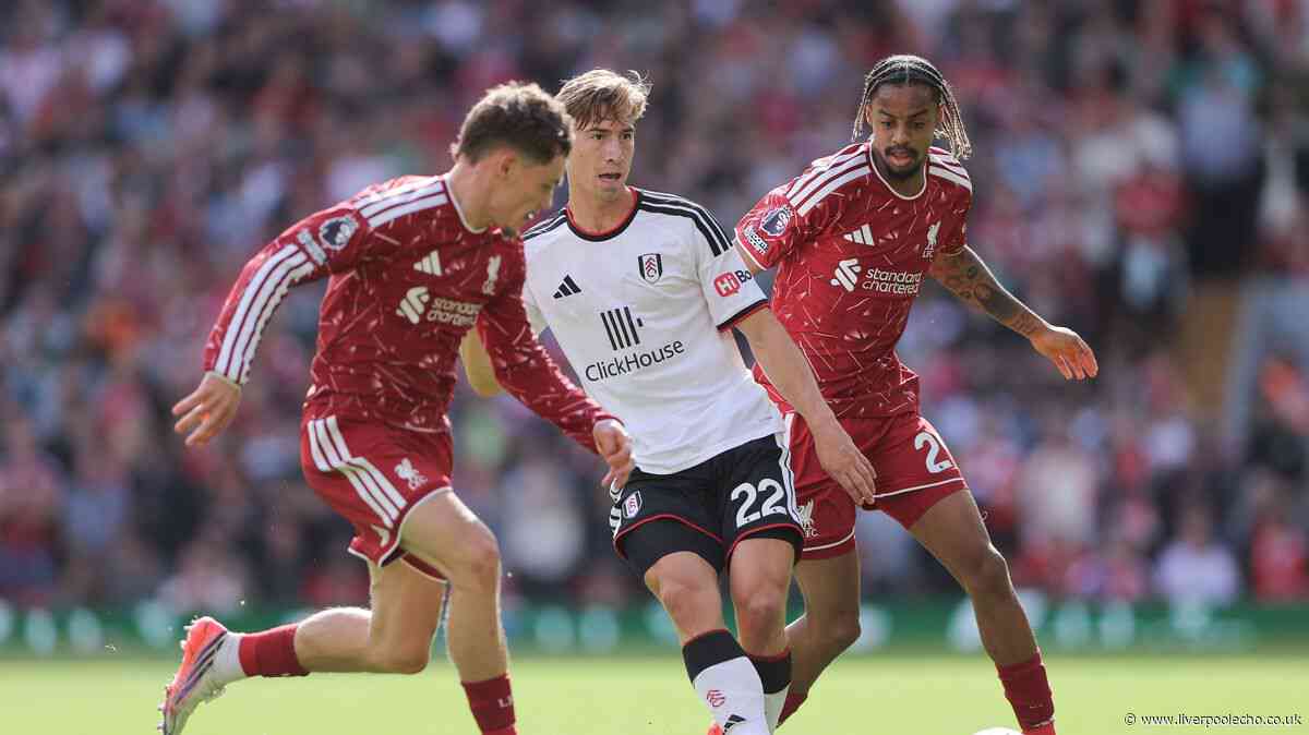 I think people expect too much of Liverpool's Florian Wirtz - he reminds me of Paul Pogba