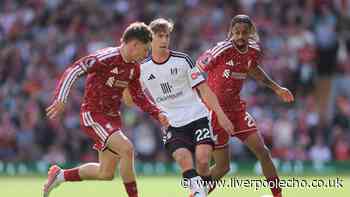 I think people expect too much of Liverpool's Florian Wirtz - he reminds me of Paul Pogba