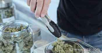 Most North Carolinians support legalizing marijuana, Elon poll finds
