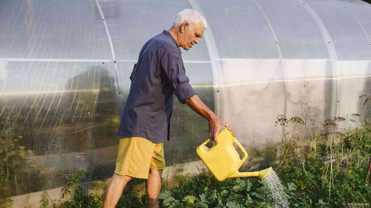 Geringer Nebenverdienst für einen Tag: Rentner soll volle Jahresrente zurückzahlen