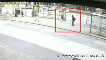 Missing Lillia: CCTV breakthrough after schoolgirl, 13, vanishes