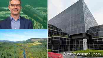 Public sector staff at £37million forestry quango bicker with bosses... over the size of their kitchen!