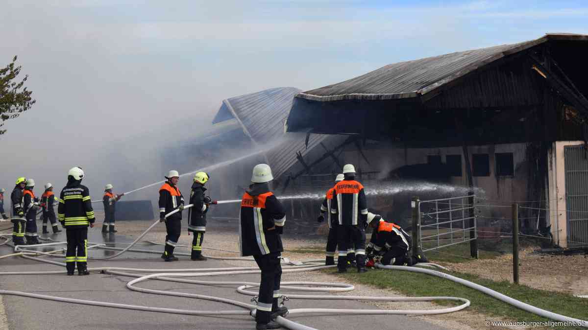 Großeinsatz in Bissinger Ortsteil Zoltingen: Pferdestall und Halle des Reiterhofs brennen aus