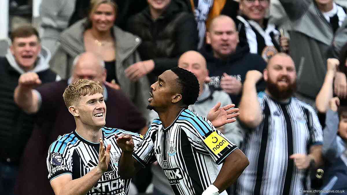 Matthias Jaissle's gesture to Joe Willock says it all as Newcastle United sink Hull