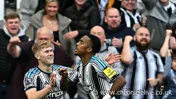 Matthias Jaissle's gesture to Joe Willock says it all as Newcastle United sink Hull