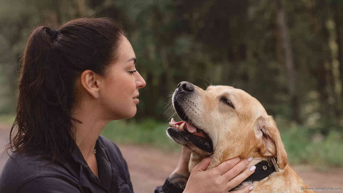 ’Mijn man wilde geen hond vanwege de kosten, ik zei dat het wel meeviel, maar nu lieg ik over de uitgaven’