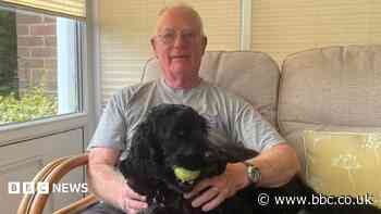 'I trained hearing dogs for years - then needed my own'